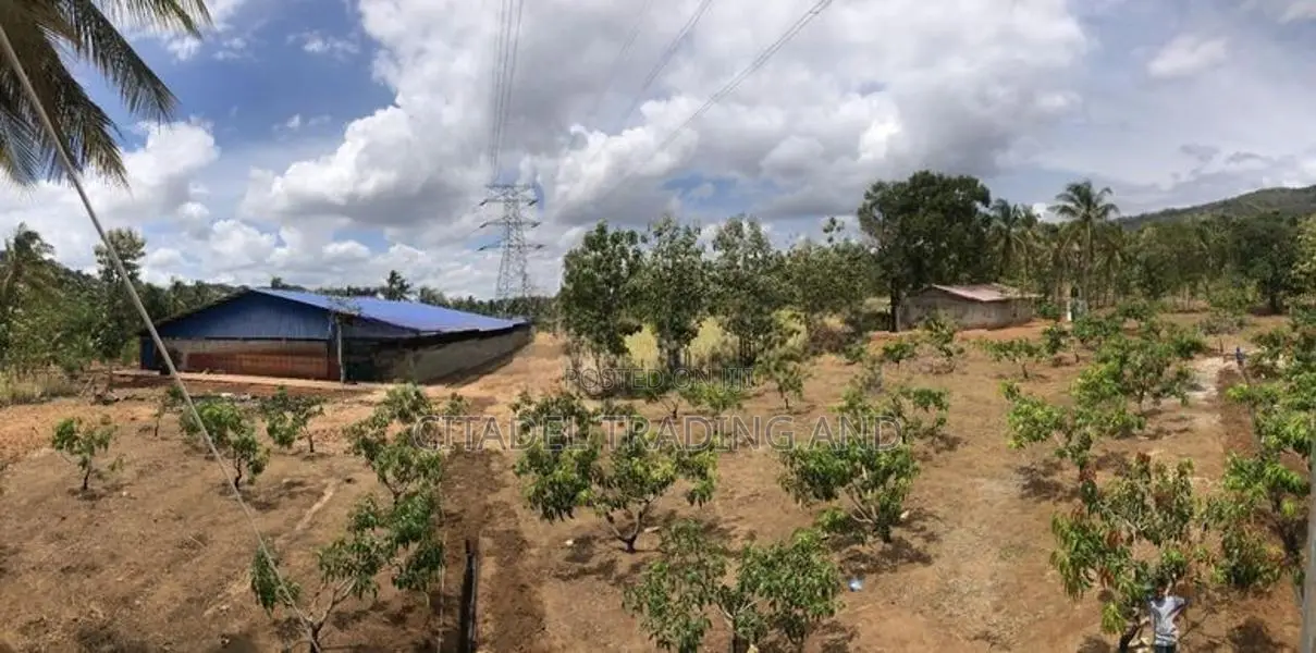 Agricultural Land With Warehouse For Sale In Melsiripiua - CL742
