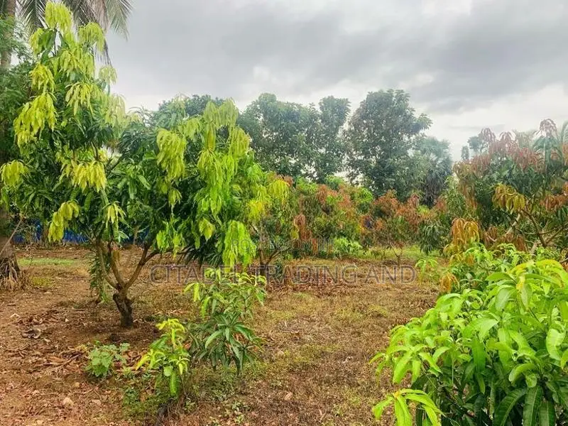 Agricultural Land With Warehouse For Sale In Melsiripiua - CL742