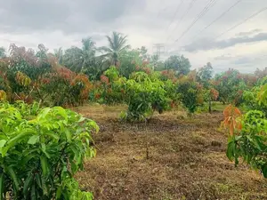 Agricultural Land With Warehouse For Sale In Melsiripiua - CL742