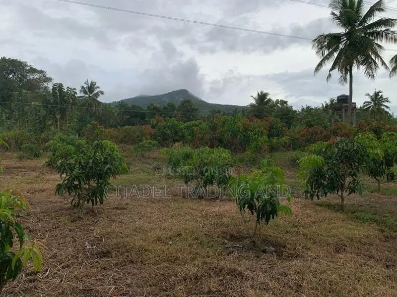 Agricultural Land With Warehouse For Sale In Melsiripiua - CL742