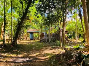 Land For Sale In Matara,walasmulla