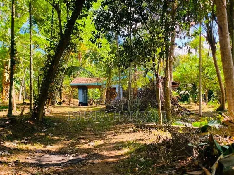 Land For Sale In Matara,walasmulla