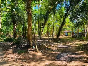 Land For Sale In Matara,walasmulla