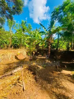 Land For Sale In Matara,walasmulla