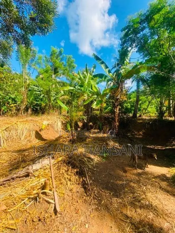 Land For Sale In Matara,walasmulla