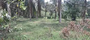 80 Perch Bare Land at Kahathuduwa