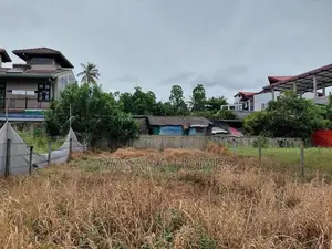 Super Land for Sale Borelesgamuwa