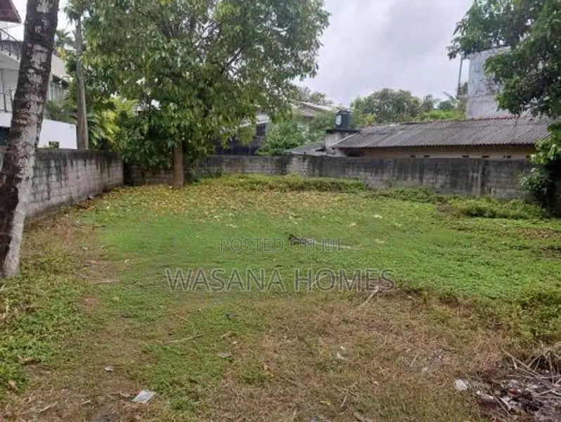 Super Land for Sale Borelesgamuwa