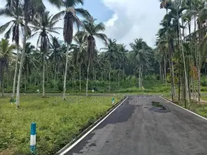 Coconut Land for Sale in Homagama