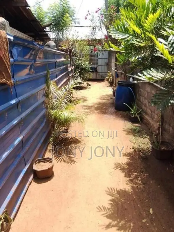 பலாலி கோண்டாவில் அம்மாச்சி இடையில் 800 மீட்டர் தூரத்தில் வீடு விற்பனை