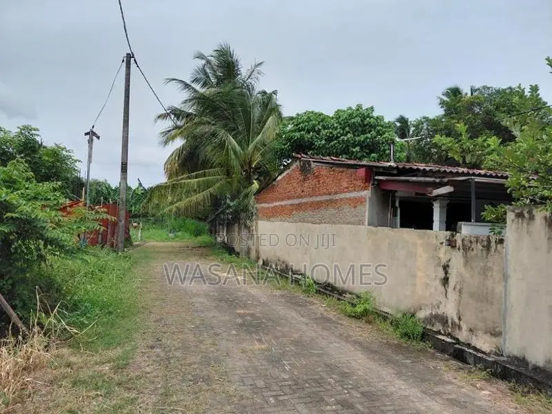 Super Land for Sale Borelesgamuwa