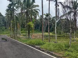 Coconut Land for Sale in Homagama