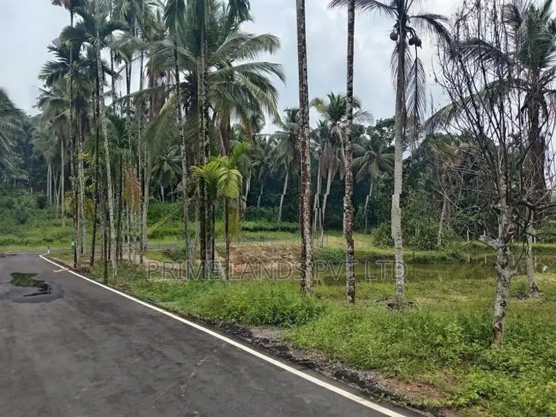 Coconut Land for Sale in Homagama