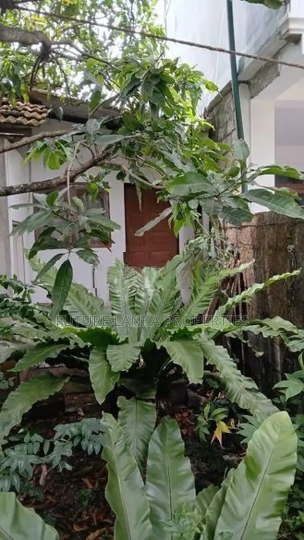 Land with House for Sale in Bellanwila