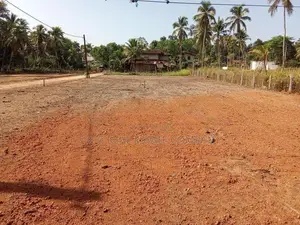 Diulapitiya Ullalapola Land