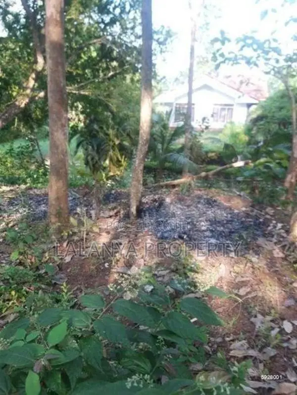 95 Perch Land for Sale in Thalalla CGGG - A1