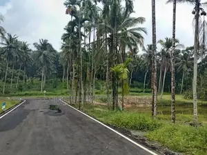 Coconut Land for Sale in Homagama