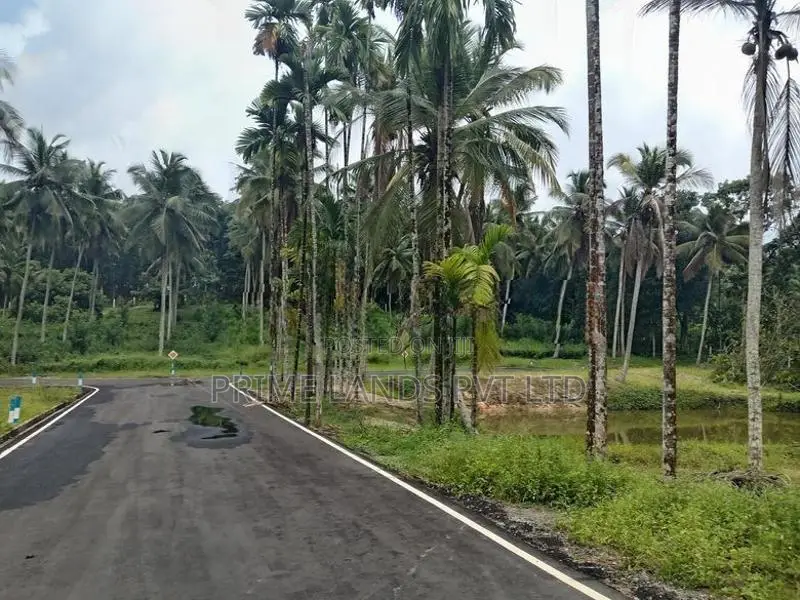 Coconut Land for Sale in Homagama