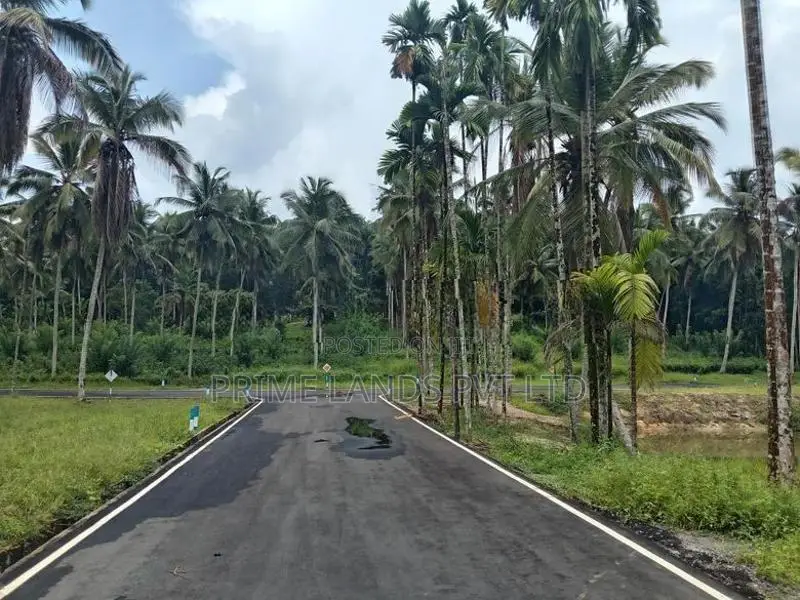 Coconut Land for Sale in Homagama
