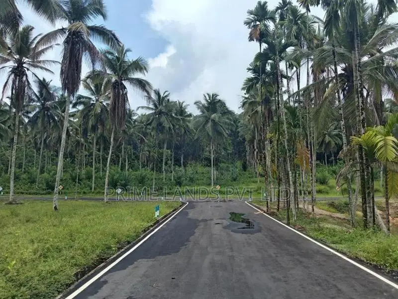 Coconut Land for Sale in Homagama
