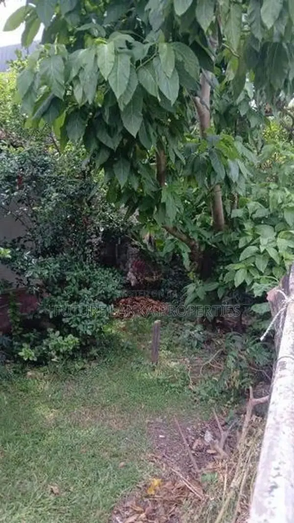 Land with House for Sale in Bellanwila