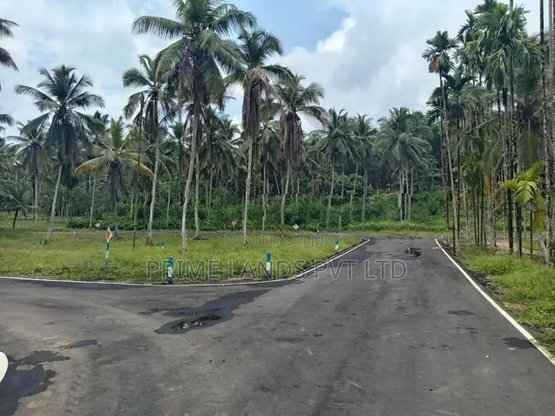 Coconut Land for Sale in Homagama