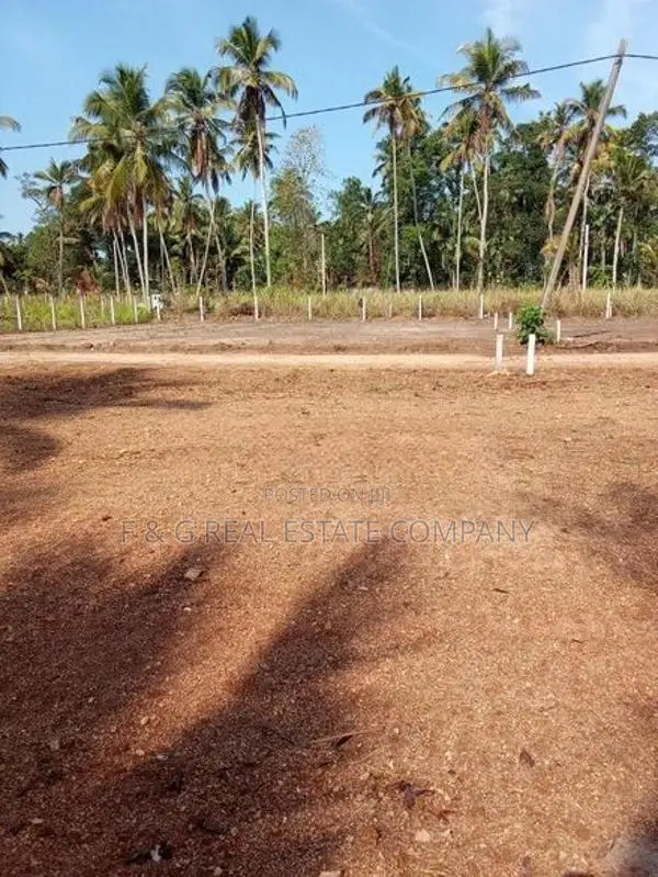 Diulapitiya Ullalapola Land