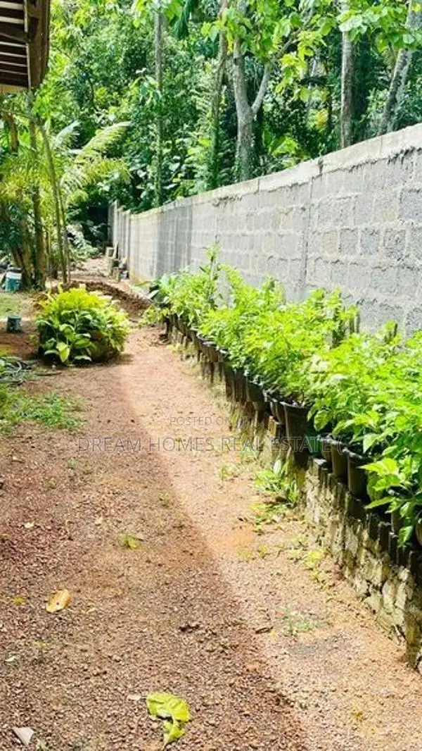 Spacious Single-Storey House for Sale in Kandana