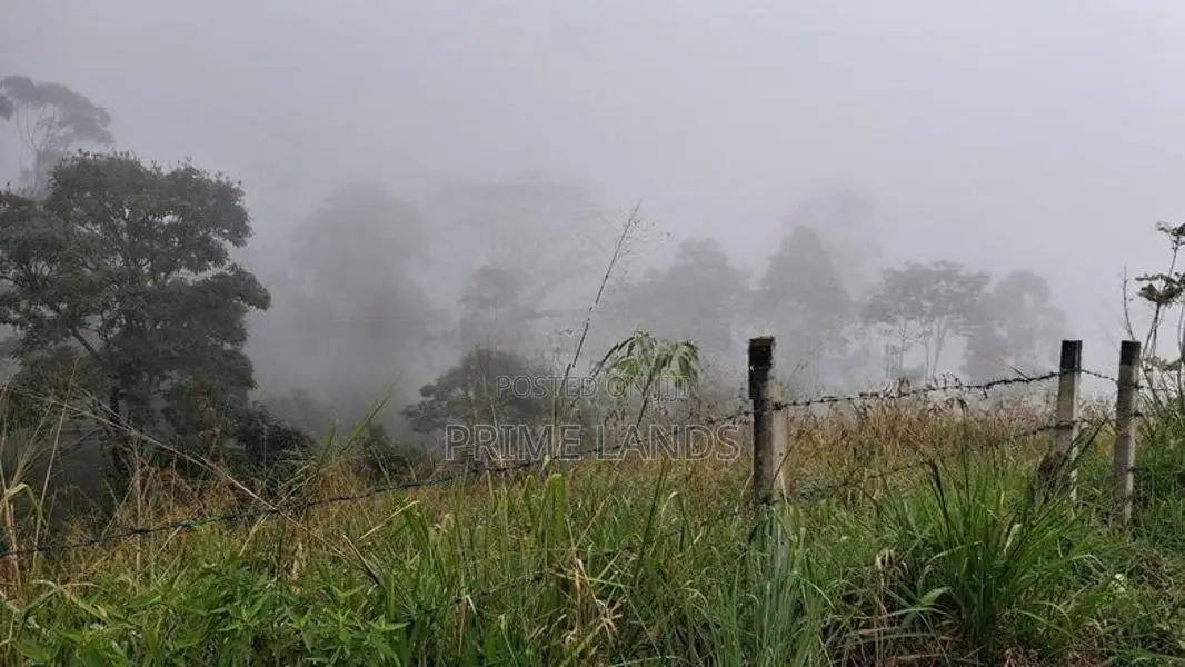 Beautiful Land for Sale in Pussellawa