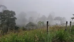 Beautiful Land for Sale in Pussellawa