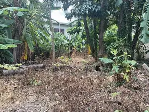 Best Land for Sale Maharagama