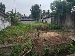 Coland for Sale Thalapathpitiya
