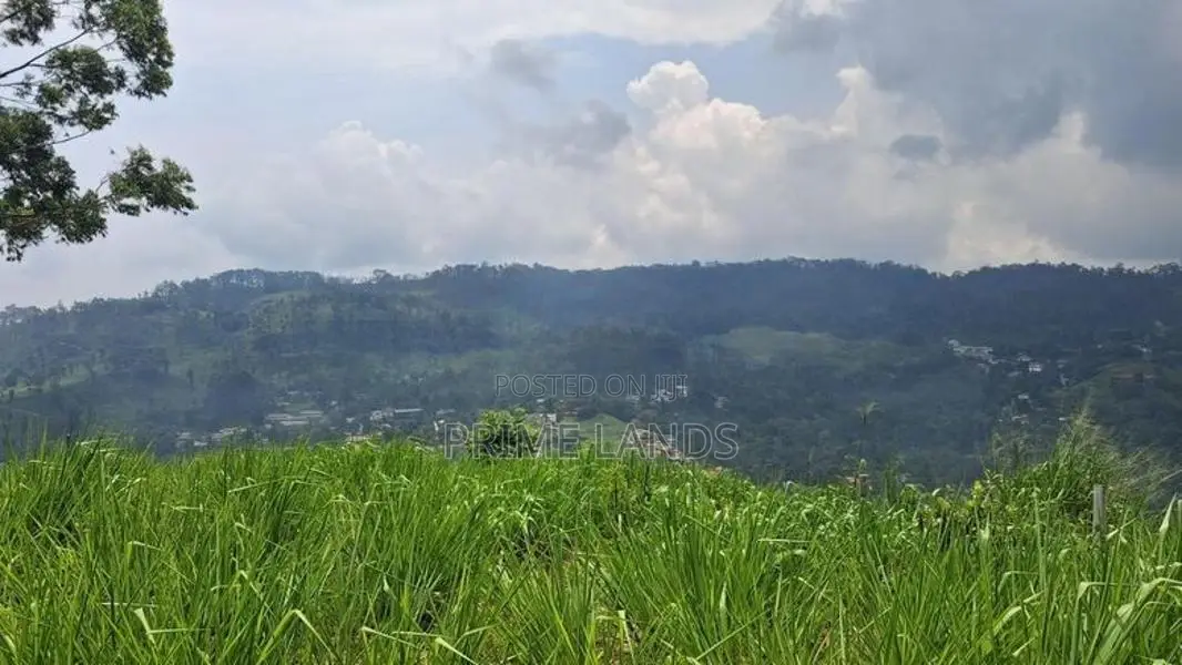 Beautiful Land for Sale in Pussellawa