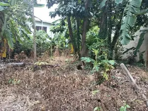 Best Land for Sale Maharagama