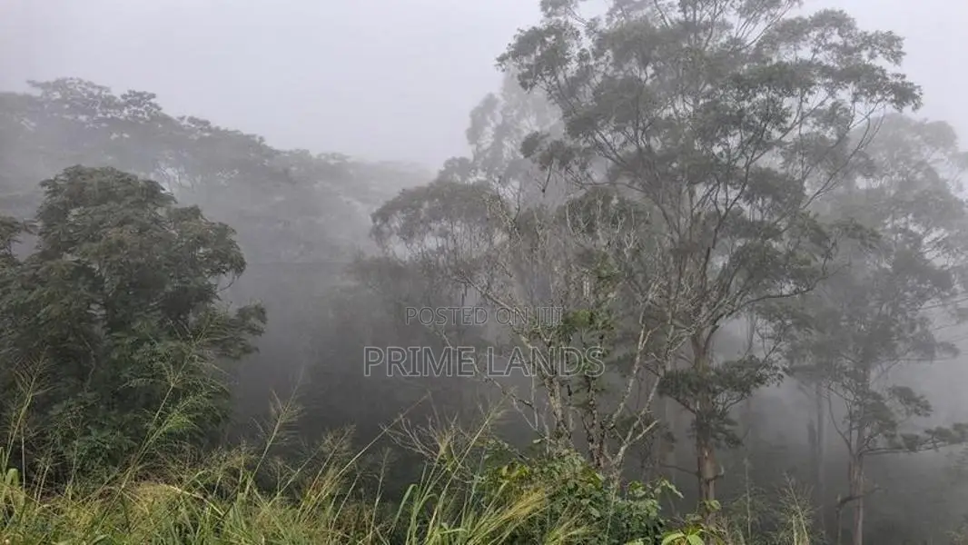 Beautiful Land for Sale in Pussellawa