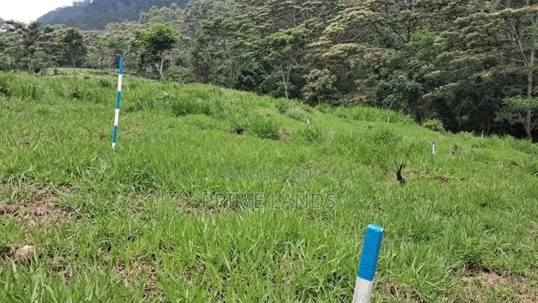 Beautiful Land for Sale in Pussellawa