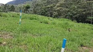 Beautiful Land for Sale in Pussellawa