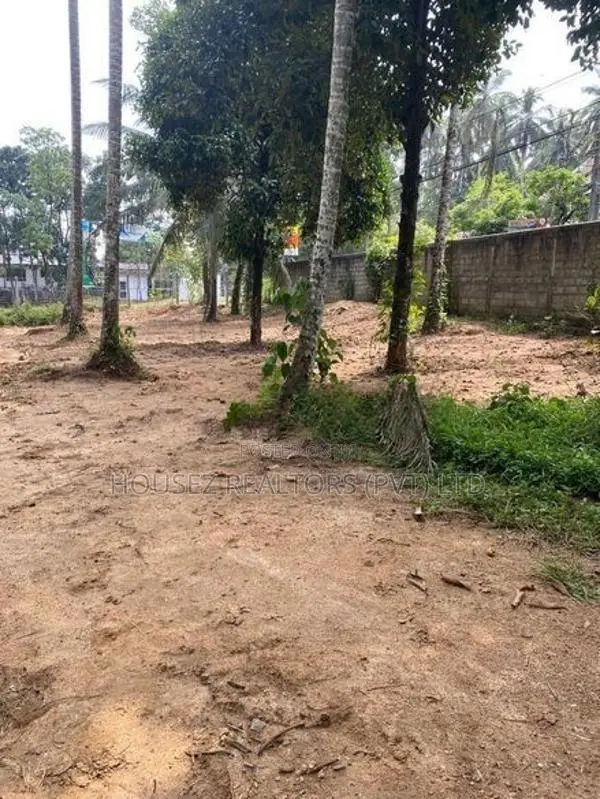 Prime 4 Acre 30 Perch Commercial Land for Sale – Watareka, Padukka