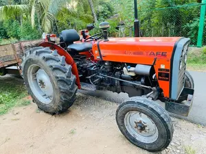 TAFE 45DI 2018 Tractor (Used)