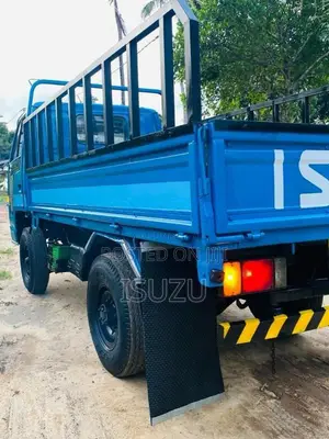 Isuzu 250 Single Wheel 1987 Lorry (Used)