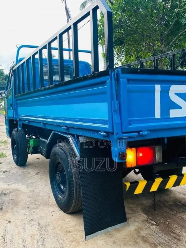 Isuzu 250 Single Wheel 1987 Lorry (Used)