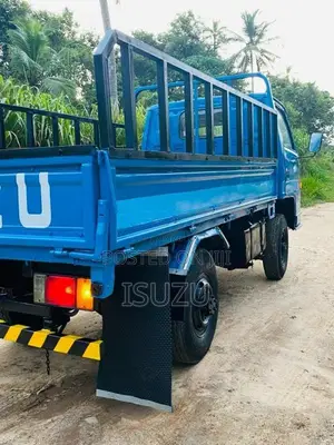 Isuzu 250 Single Wheel 1987 Lorry (Used)