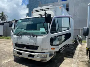 Mitsubishi Fuso 2011 Lorry (Used)