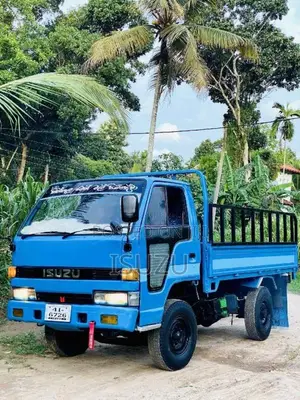 Isuzu 250 Single Wheel 1987 Lorry (Used)