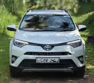 Toyota RAV4 2017 SUV (Used)