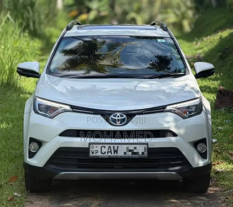 Toyota RAV4 2017 SUV (Used)