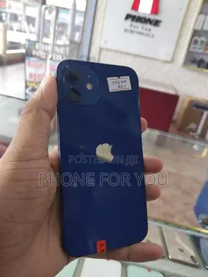 Apple iPhone 12 (Used)