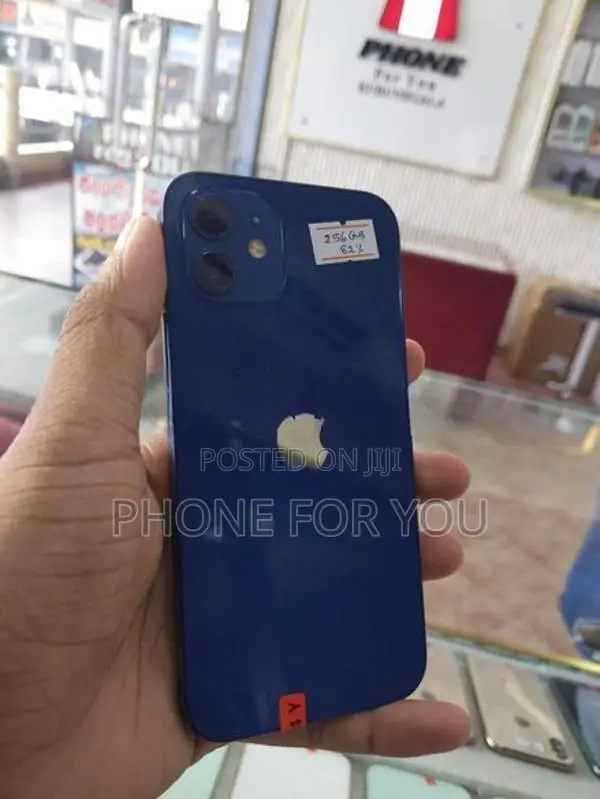 Apple iPhone 12 (Used)