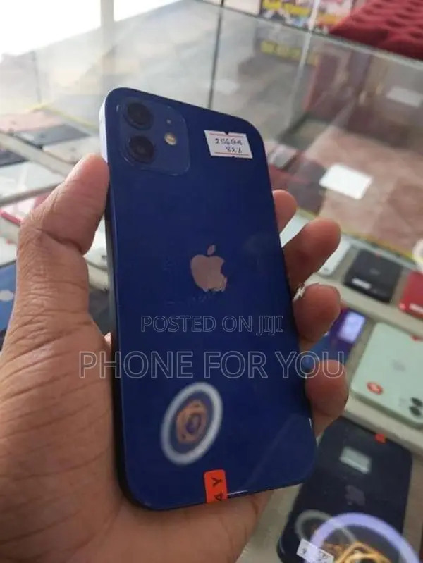 Apple iPhone 12 (Used)