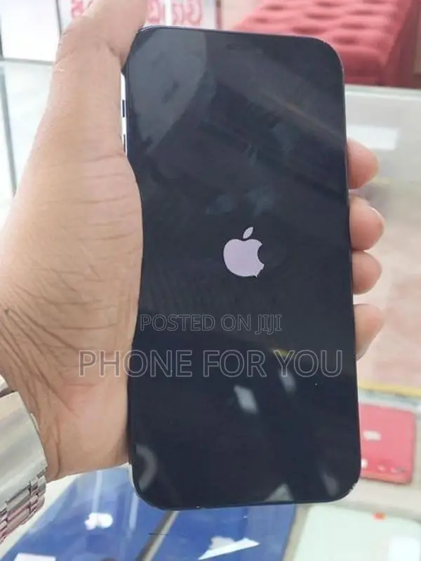 Apple iPhone 12 (Used)
